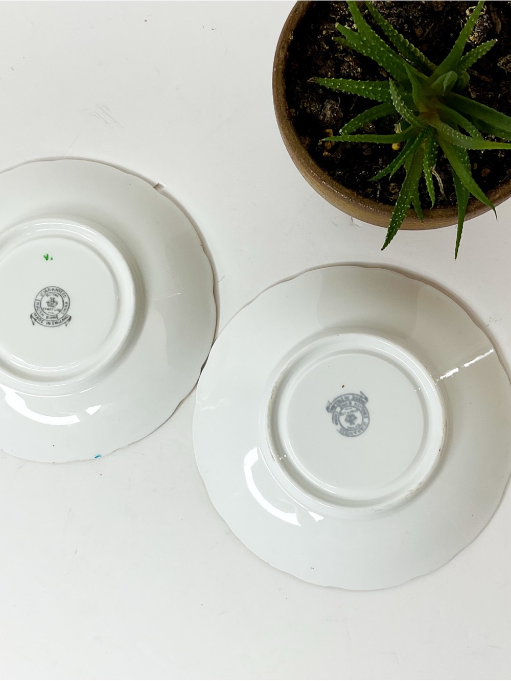 Vintage Blue Floral Bone China Saucers Gold Trim Set 2 - Picture 5 of 6